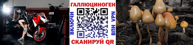 Галлюциногенные грибы мухоморы  Калуга 